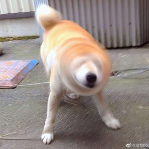 淫棍入室强奸美女视频
