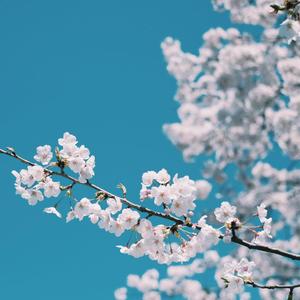 淫棍入室强奸美女视频
